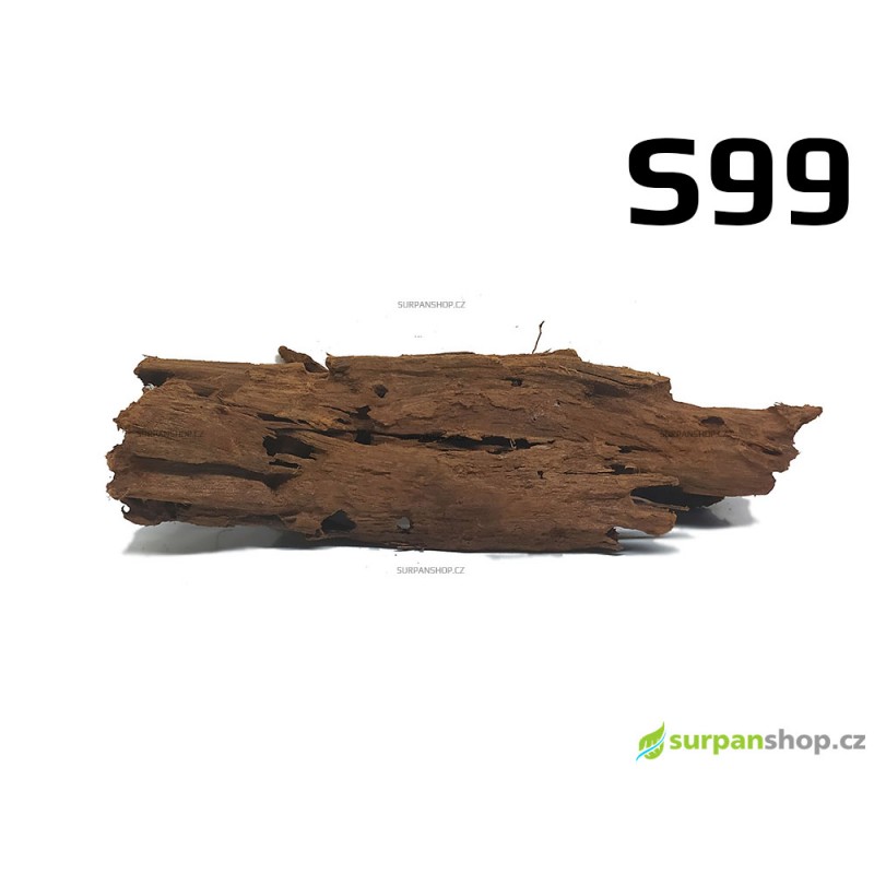Kořen Mangrove 25cm - S99