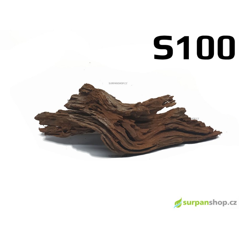 Kořen Mangrove 29cm - S100