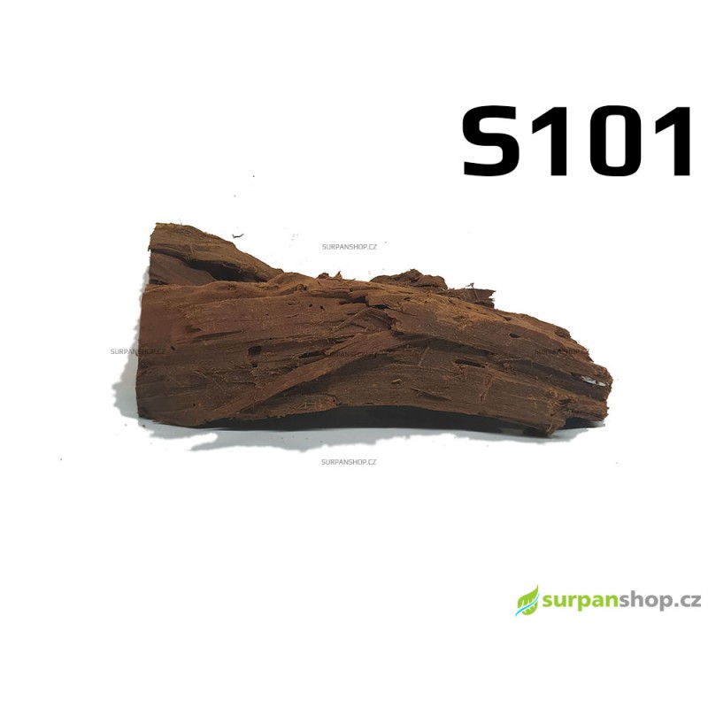 Kořen Mangrove 23cm - S101