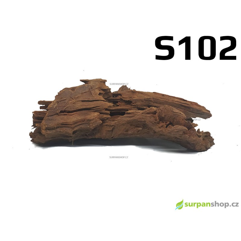 Kořen Mangrove 28cm - S102