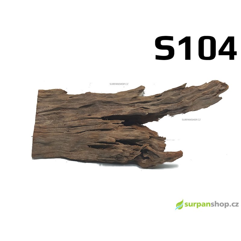 Kořen Mangrove 25cm - S104
