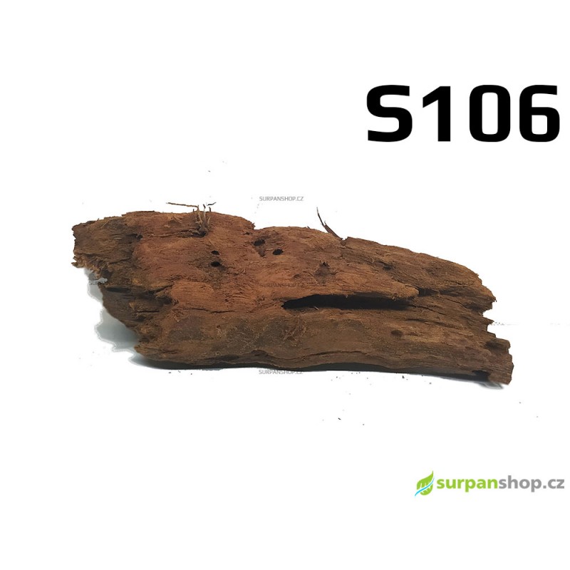 Kořen Mangrove 25cm - S106