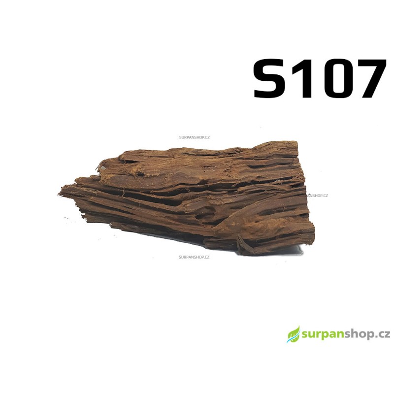 Kořen Mangrove 22cm - S107