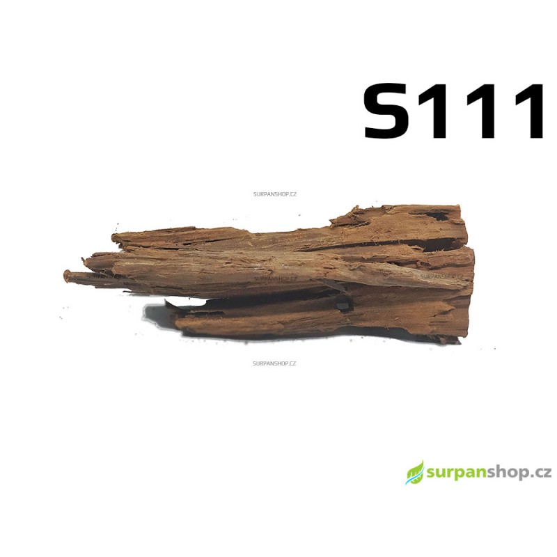 Kořen Mangrove 24cm - S111