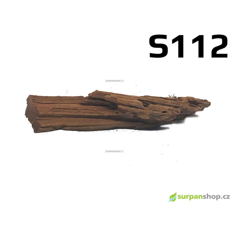 Kořen Mangrove 30cm - S112