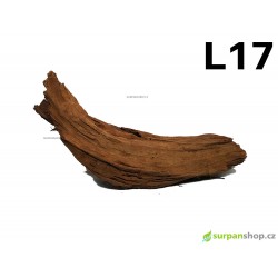 Kořen Mangrove 40cm - L17