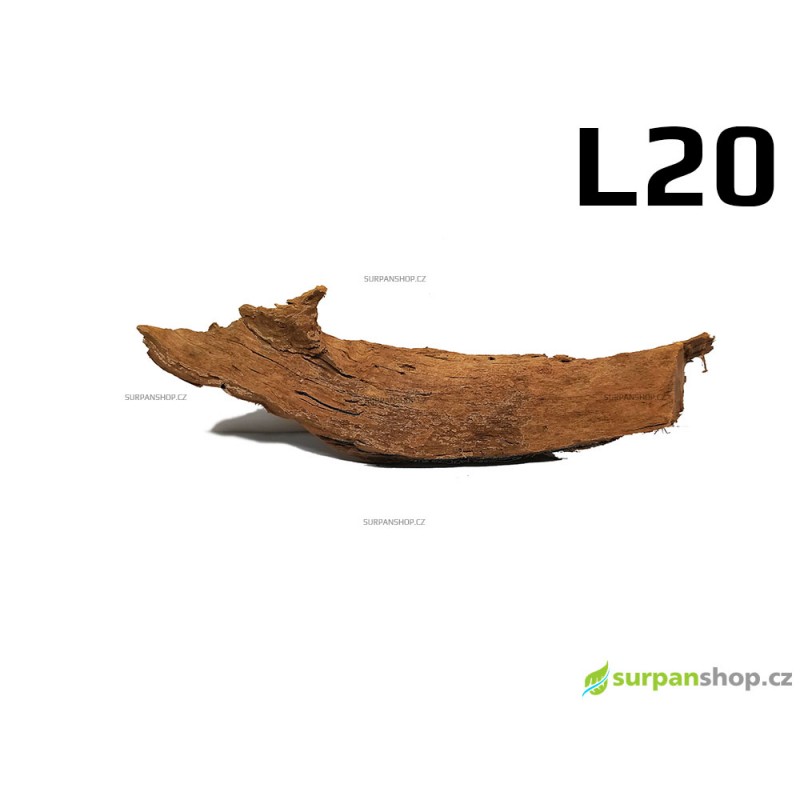 Kořen Mangrove 43cm - L20