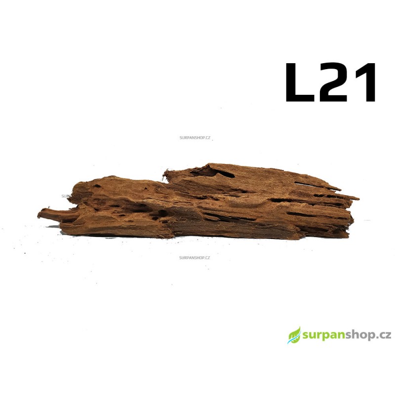 Kořen Mangrove 42cm - L21