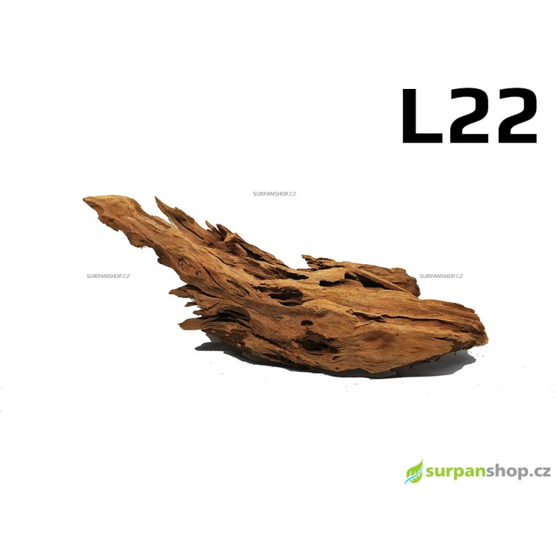 Kořen Mangrove 38cm - L22