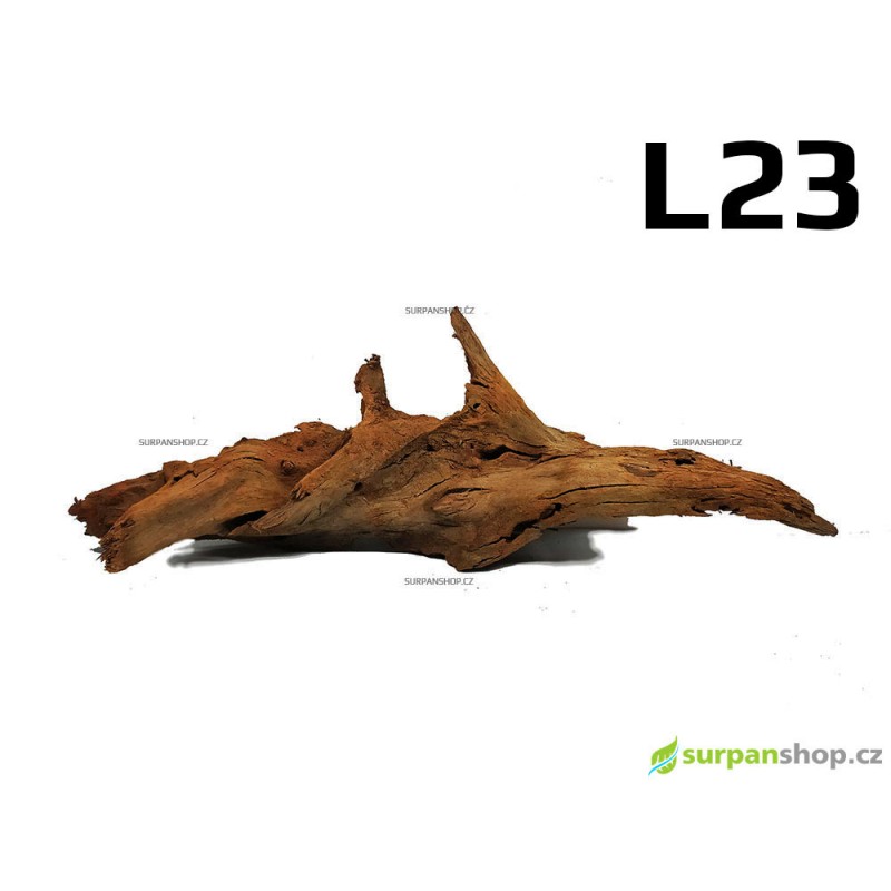 Kořen Mangrove 47cm - L23