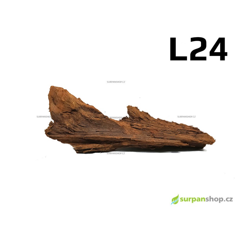 Kořen Mangrove 38cm - L24