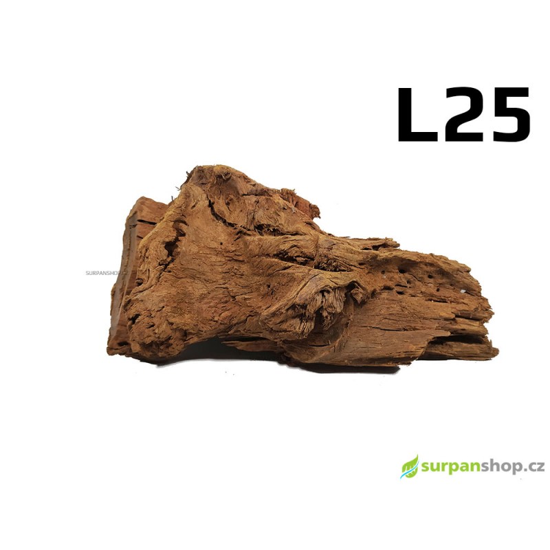 Kořen Mangrove 35cm - L25