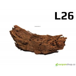 Kořen Mangrove 32cm - L26