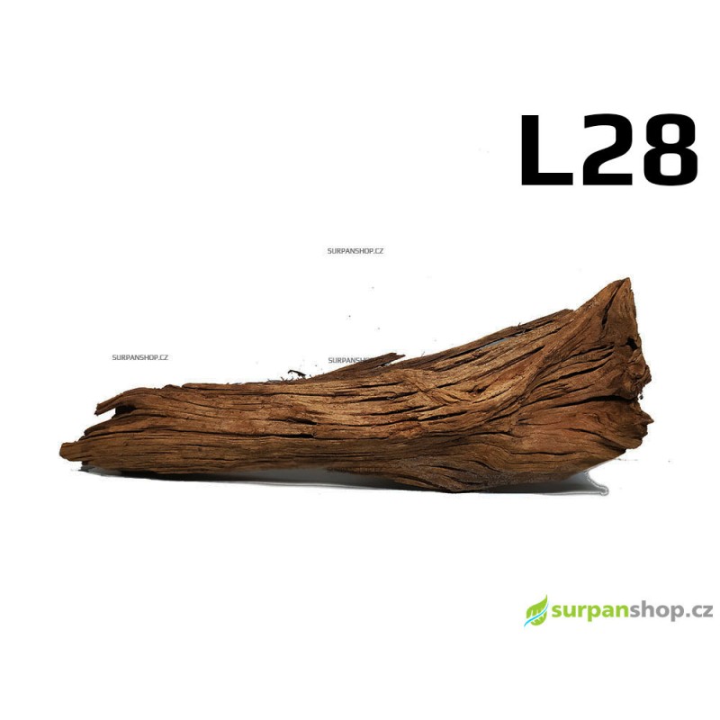 Kořen Mangrove 43cm - L28