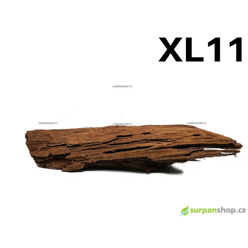 Kořen Mangrove 50cm - XL11