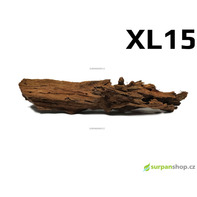 Kořen Mangrove 50cm - XL15