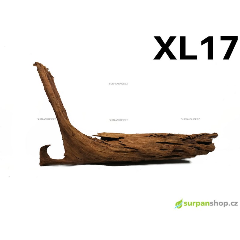 Kořen Mangrove 45cm - XL17