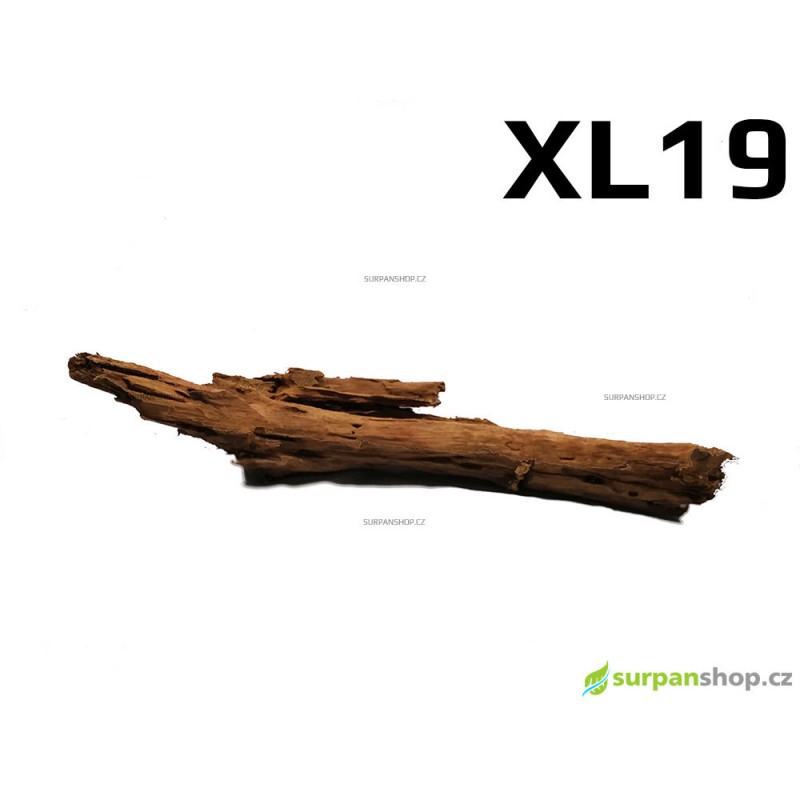 Kořen Mangrove 47cm - XL19