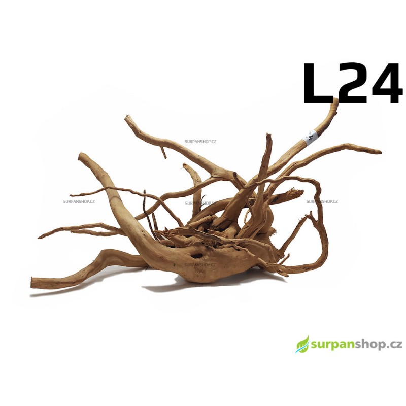Kořen Finger Wood 60cm L24 (Red Moor wood, Amano wood)