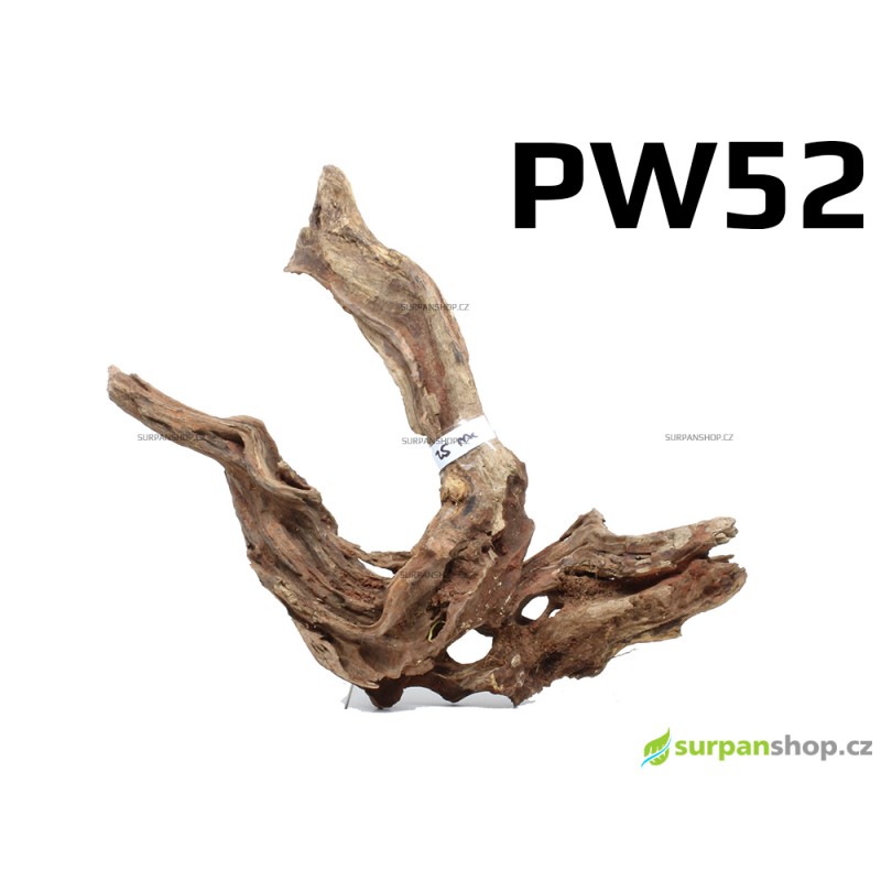 Kořen Plants Wood 33cm PW52