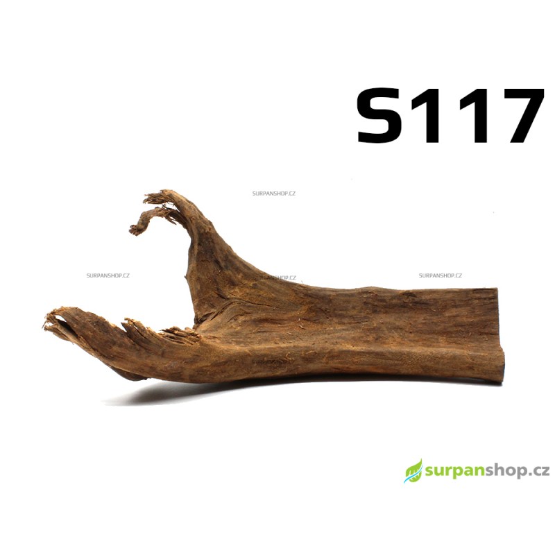 Kořen Mangrove 24cm - S117