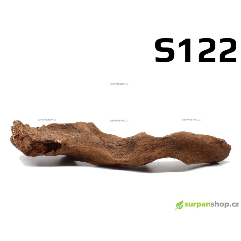 Kořen Mangrove 23cm - S122