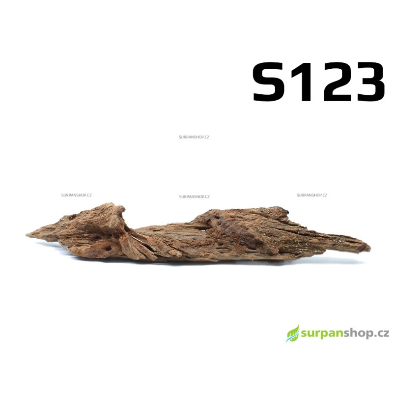 Kořen Mangrove 34cm - S123