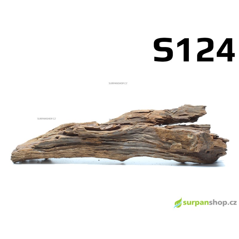 Kořen Mangrove 32cm - S124