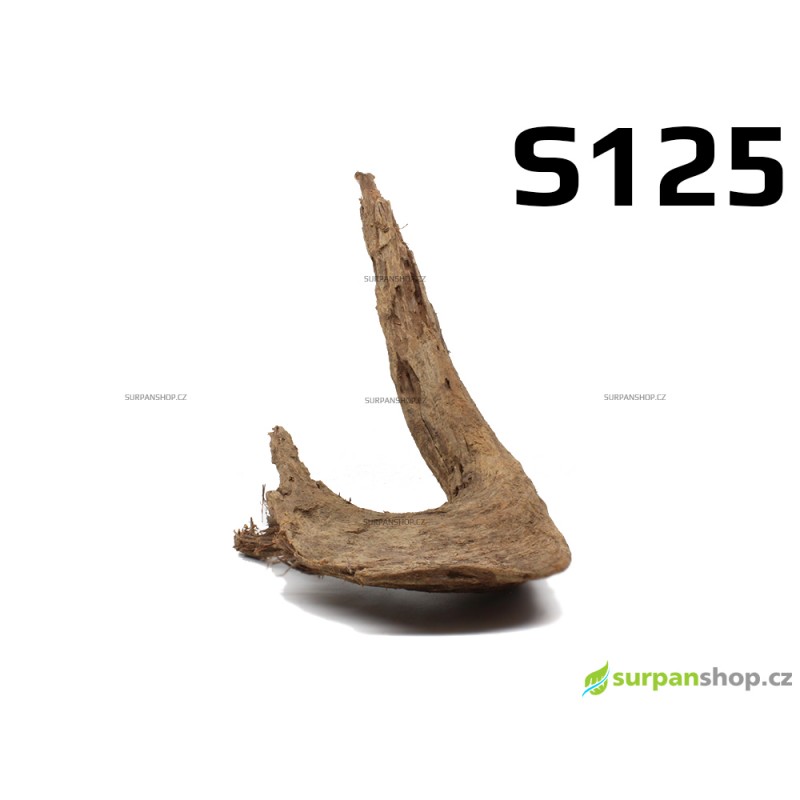 Kořen Mangrove 27cm - S125