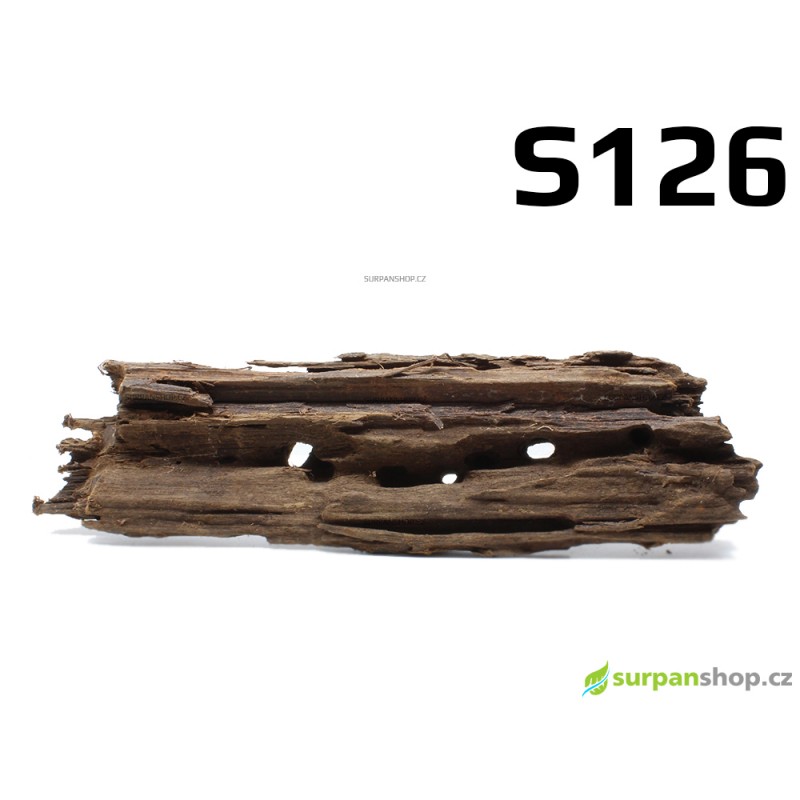 Kořen Mangrove 29cm - S126