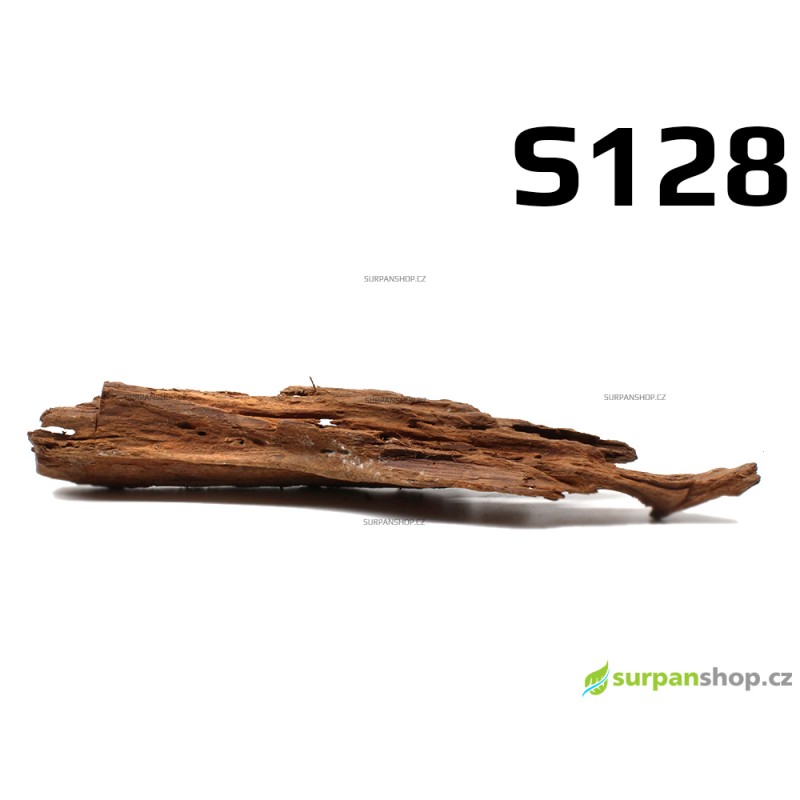 Kořen Mangrove 33cm - S128