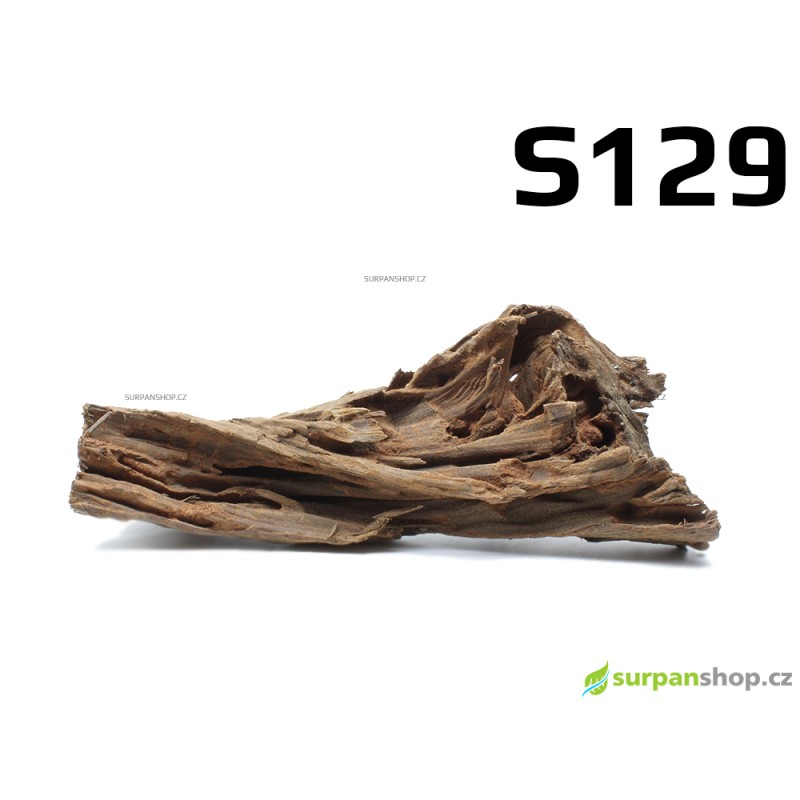 Kořen Mangrove 25cm - S129