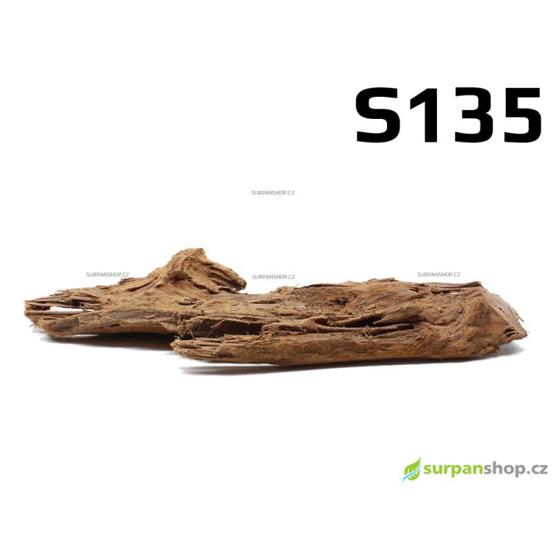 Kořen Mangrove 28cm - S135