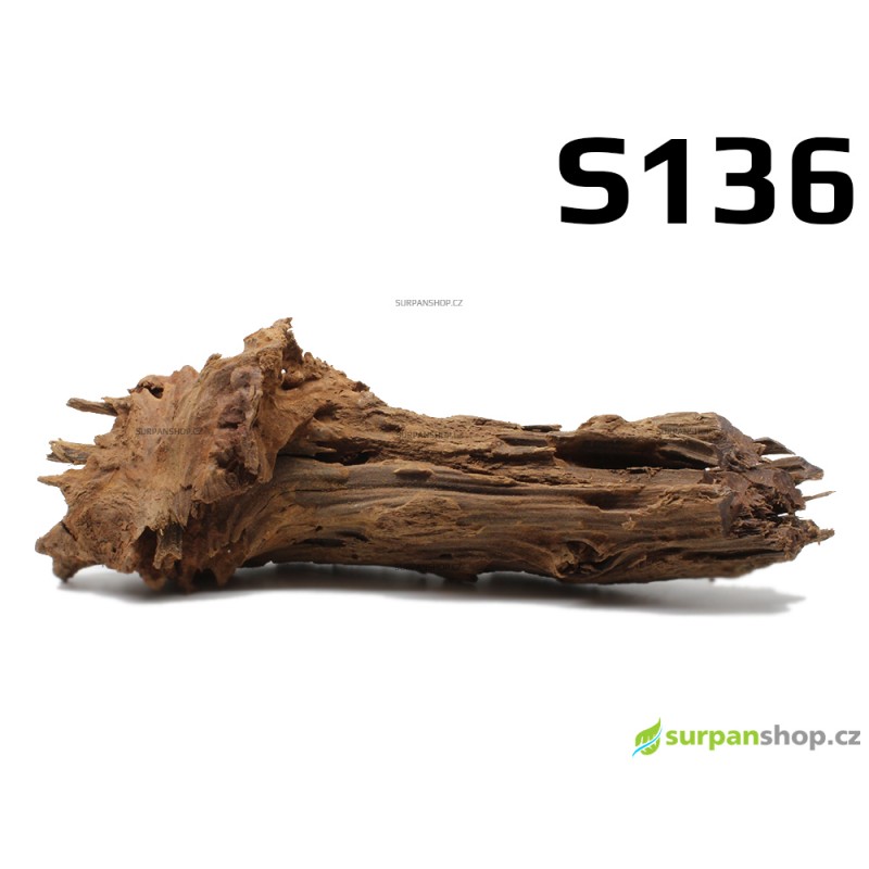 Kořen Mangrove 26cm - S136