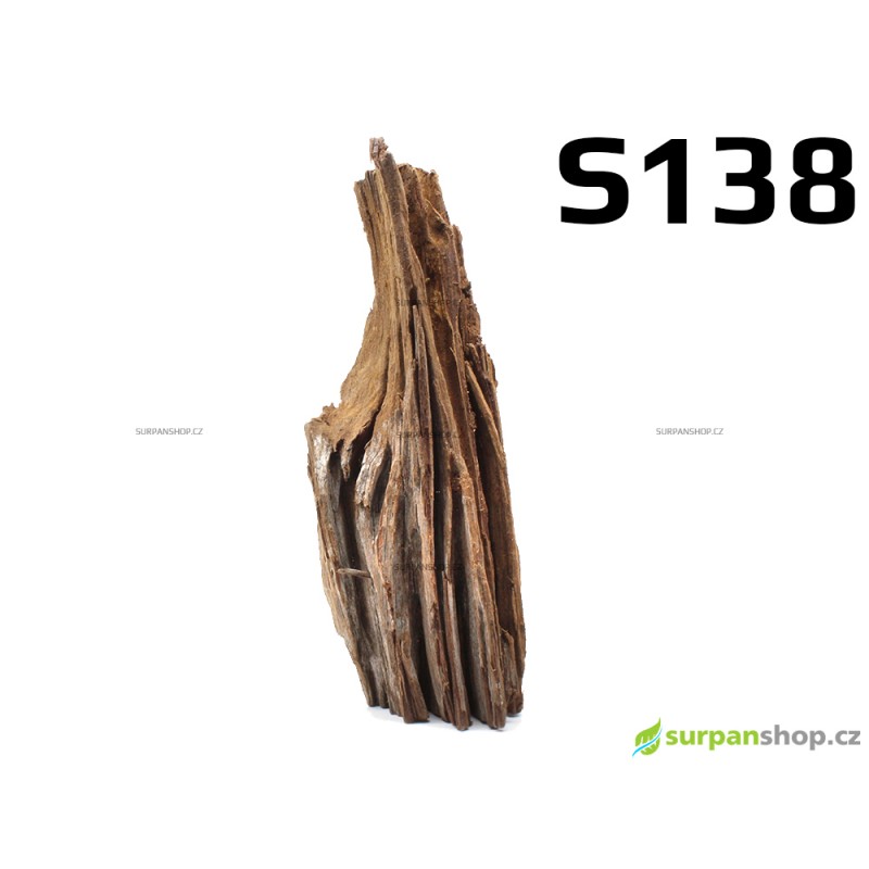Kořen Mangrove 23cm - S138
