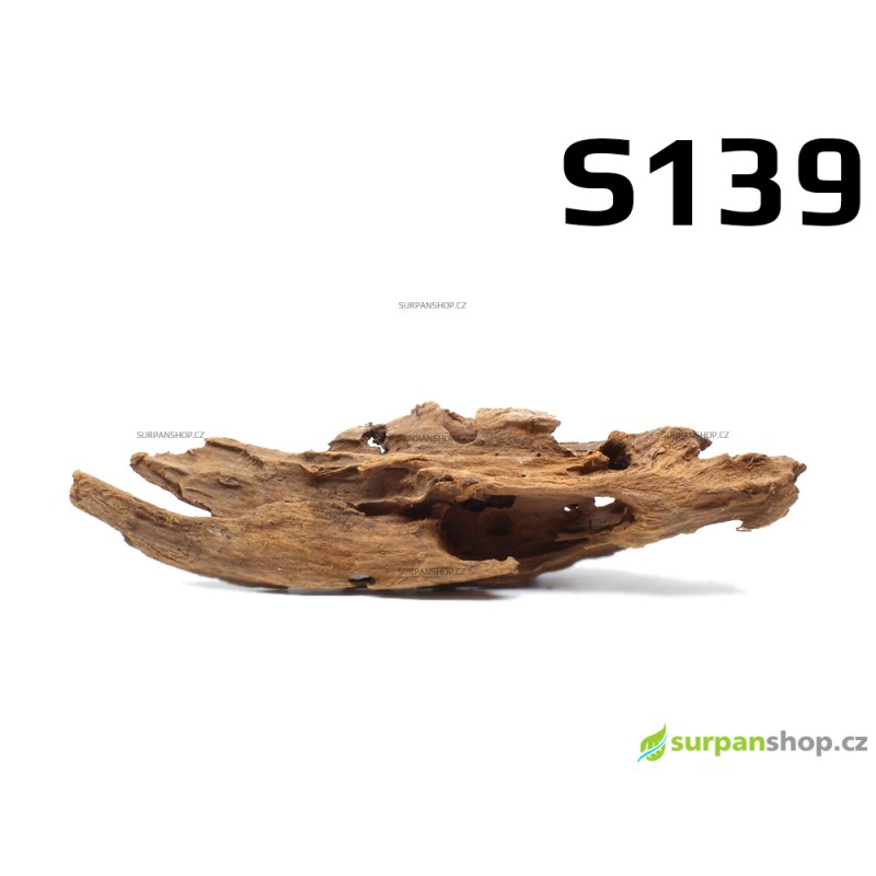 Kořen Mangrove 24cm - S139