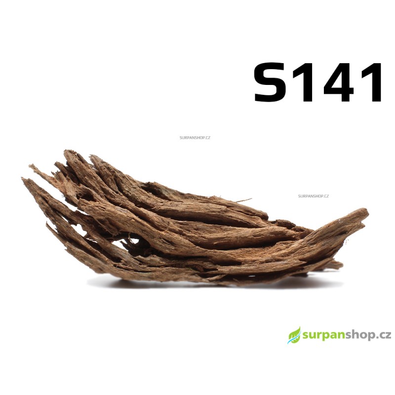 Kořen Mangrove 26cm - S141