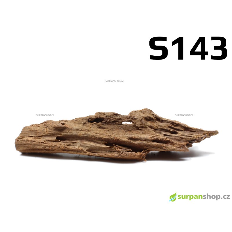 Kořen Mangrove 24cm - S143