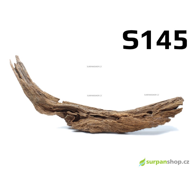 Kořen Mangrove 32cm - S145