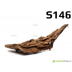 Kořen Mangrove 29cm - S146