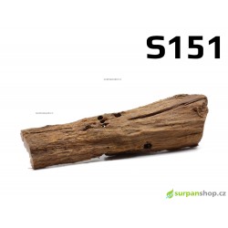 Kořen Mangrove 25cm - S151