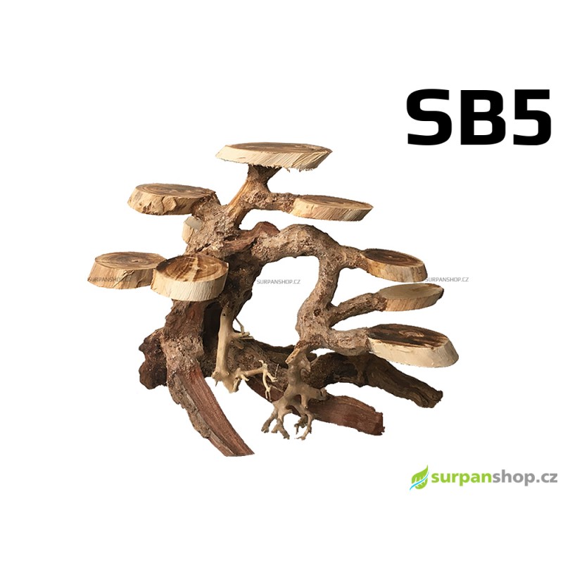 Bonsai - Stromek s ploškami 22x15x16cm SB5
