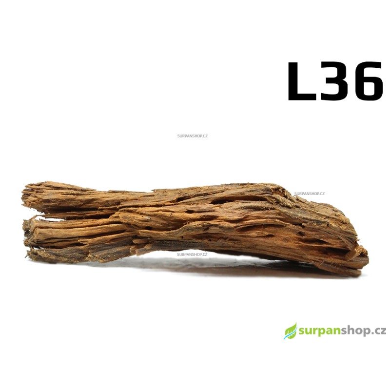 Kořen Mangrove 41cm - L36