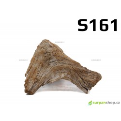 Kořen Mangrove 20cm - S161