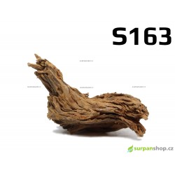 Kořen Mangrove 21cm - S163