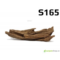 Kořen Mangrove 24cm - S165