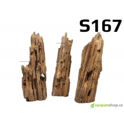 Kořen Mangrove 25cm - S167 - 3ks
