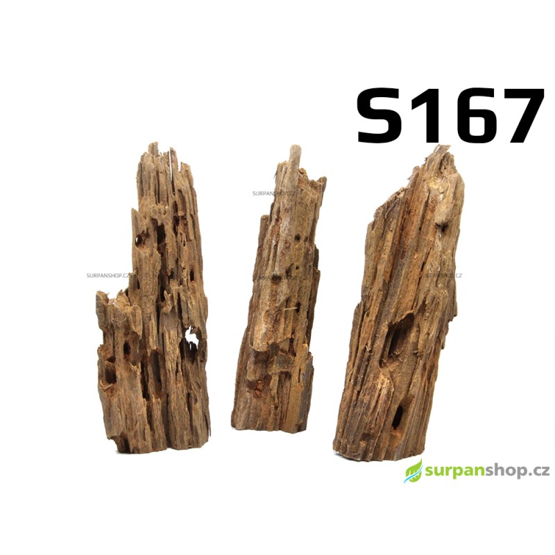 Kořen Mangrove 25cm - S167 - 3ks