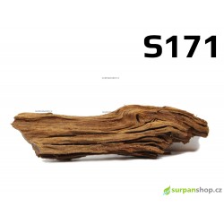 Kořen Mangrove 27cm - S171