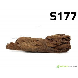 Kořen Mangrove 29cm - S177